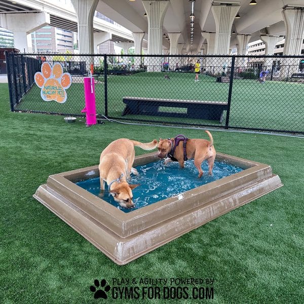 CoolDogSplashPool AlltheDogs5 - Dog Park Outfitters CoolDogSplashPool AlltheDogs5