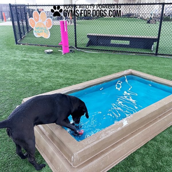 CoolDogSplashPool Maggie - Dog Park Outfitters CoolDogSplashPool Maggie