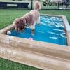 CoolDogSplashPool SingleDog - Dog Park Outfitters CoolDogSplashPool SingleDog