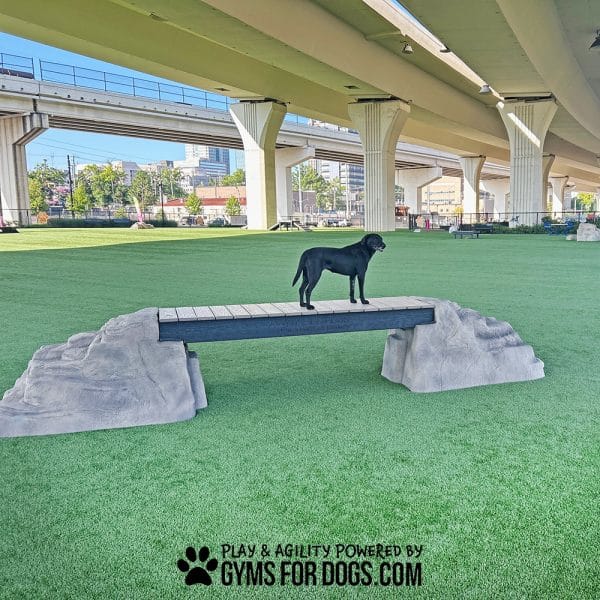 ElliesBoulderBridgePro Maggie