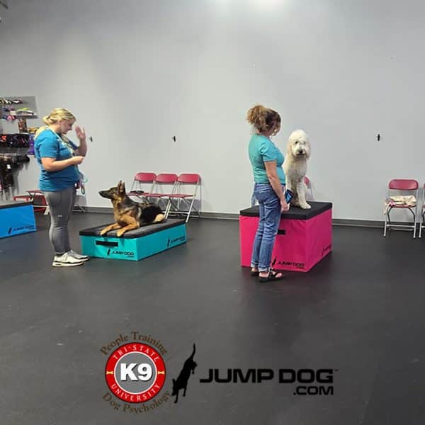 GFD foam plyo boxes tristatepink3