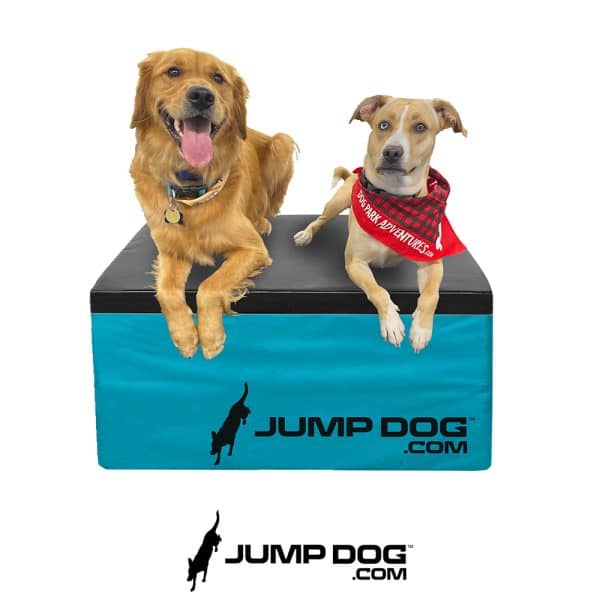 GFD foam plyo boxes blue