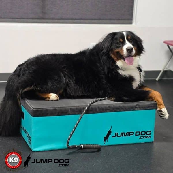 GFD foam plyo boxes blue tristategreen