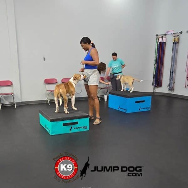 GFD foam plyo boxes blue tristategreen3