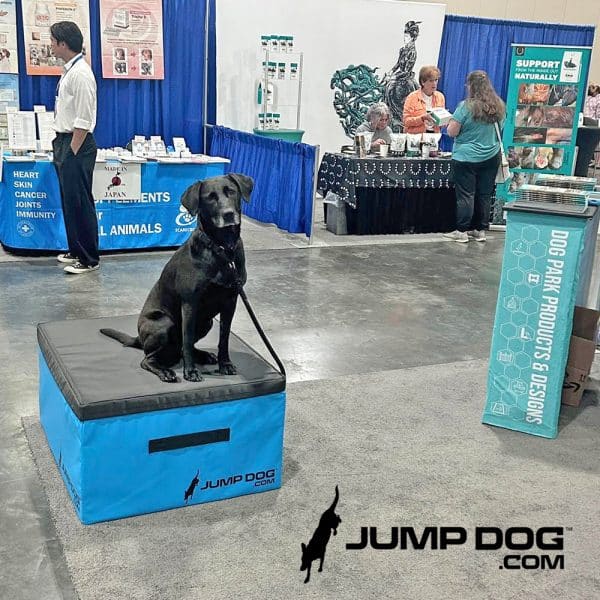JumpDog training boxes blue 18 medium maggie