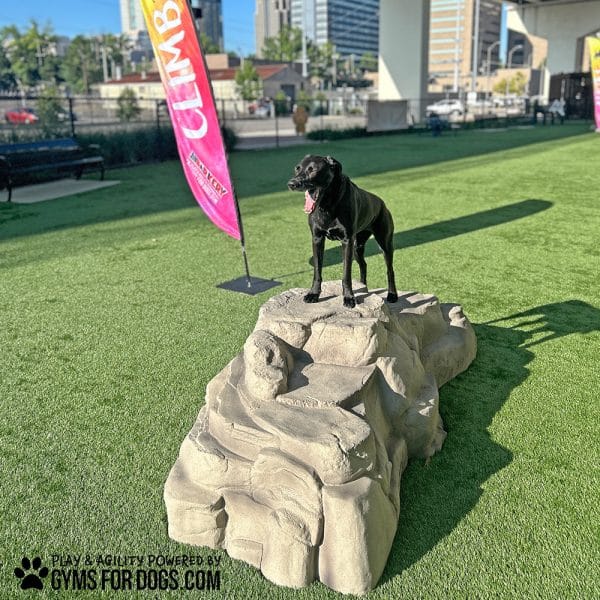 LuxuryClimbingBoulder EarlyMorningMaggie