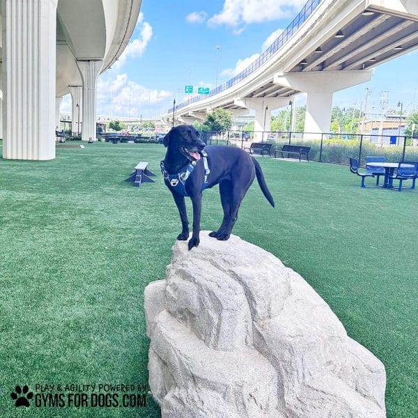 LuxuryClimbingBoulder Maggie