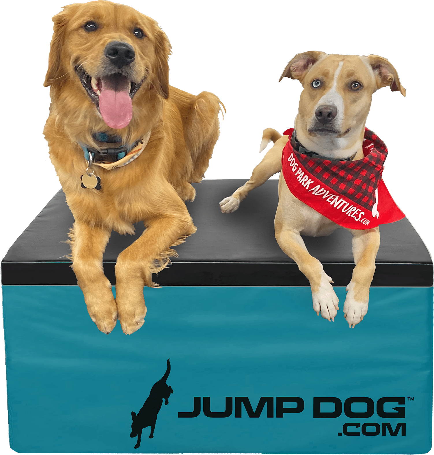 TrainingBoxes JumpDog GymsForDogs