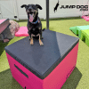 YuppyPuppy 24H