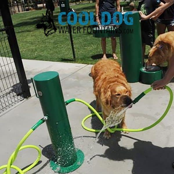 zPW7220 Dual Dog Wash Station