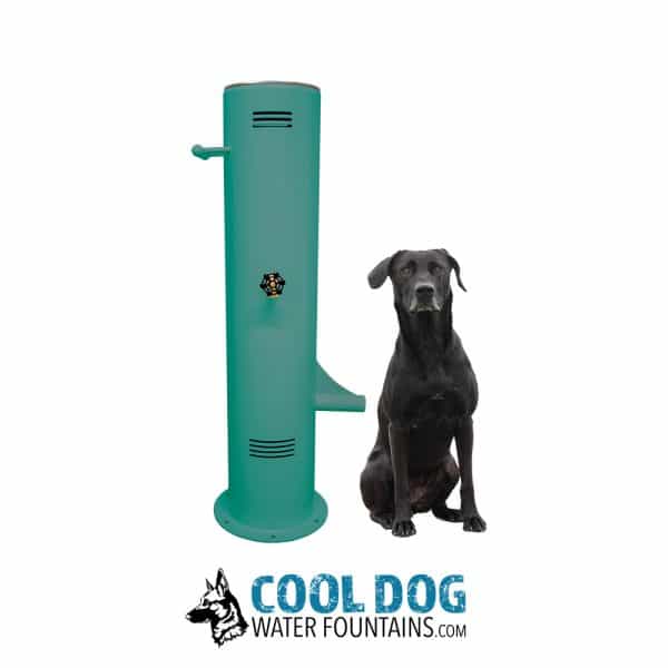 PushButton DWC BalsamGreen