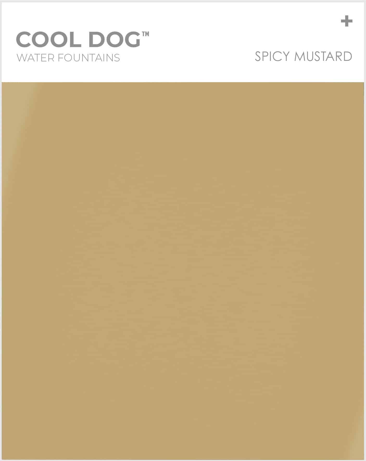 cool dog water fountains spicy mustard
