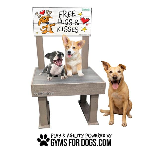 KissingBooth Dogs Dogs NoWall