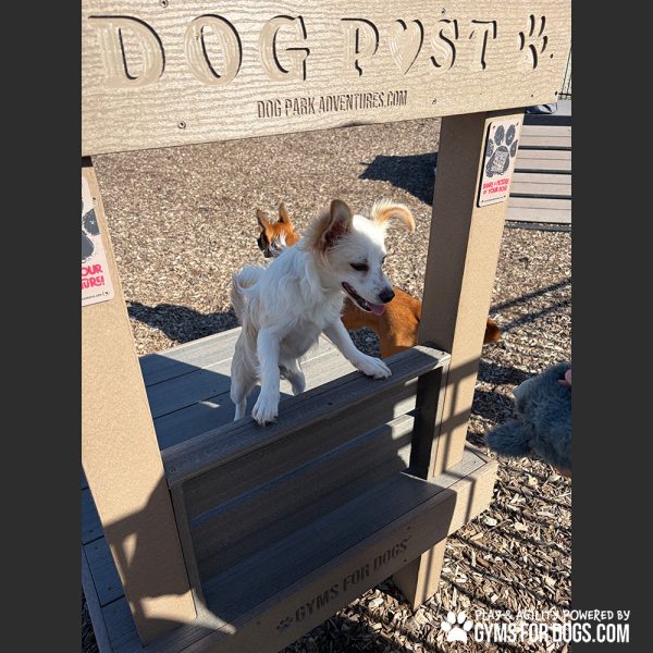 The Kissing Post Gyms For Dogs CT3
