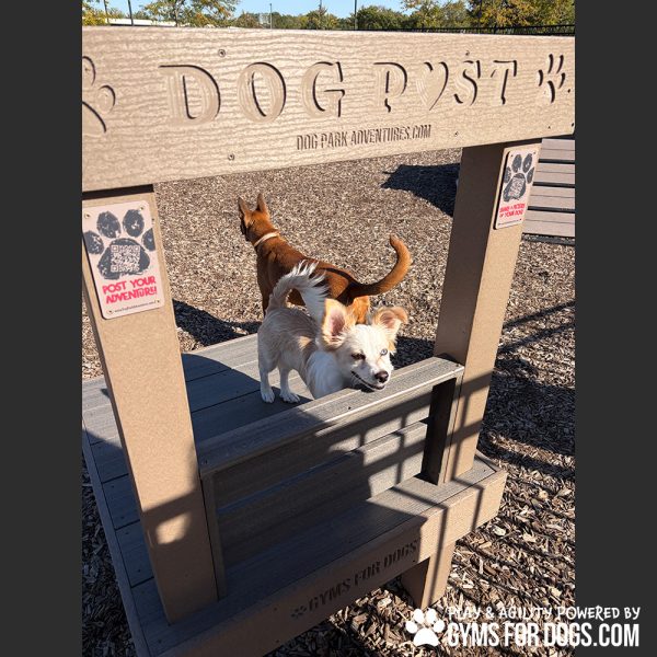 The Kissing Post Gyms For Dogs CT4