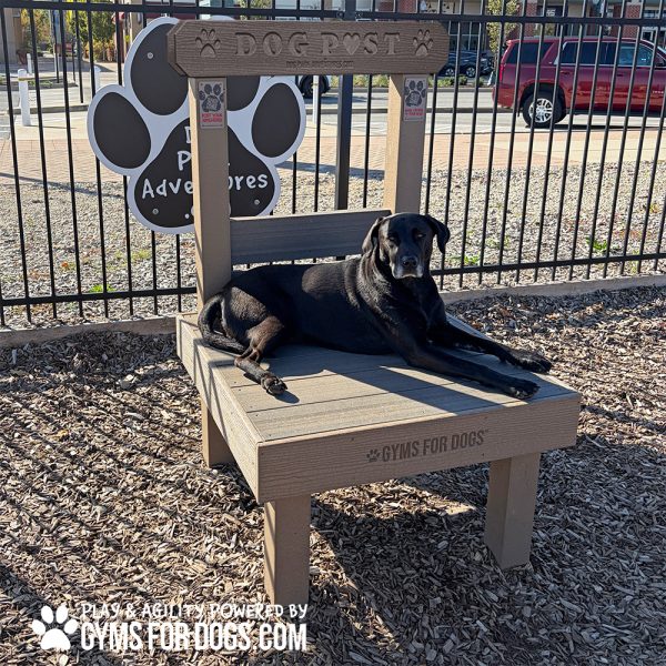 The Kissing Post Gyms For Dogs CT5