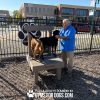 The Kissing Post Gyms For Dogs CT7