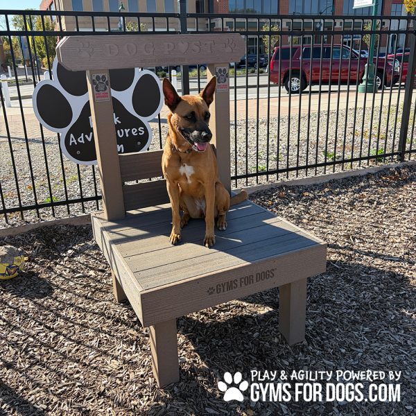 The Kissing Post Gyms For Dogs CT8