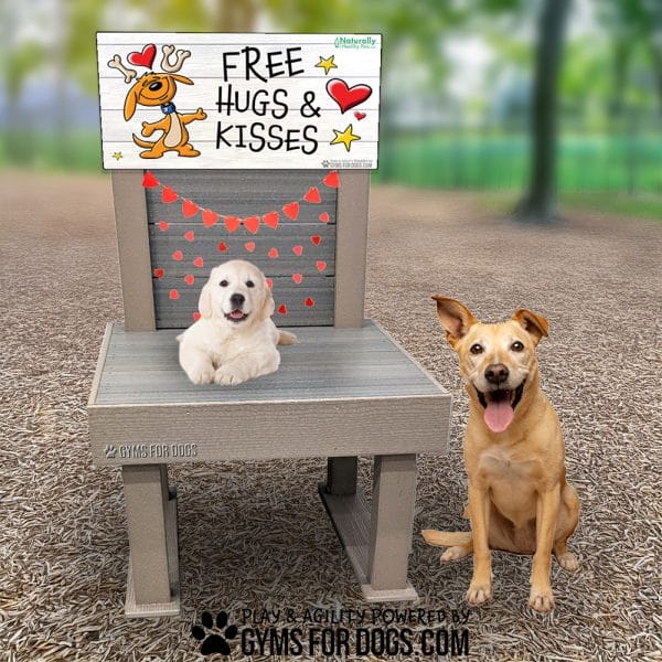dog park products the kissing booth decor wall wm