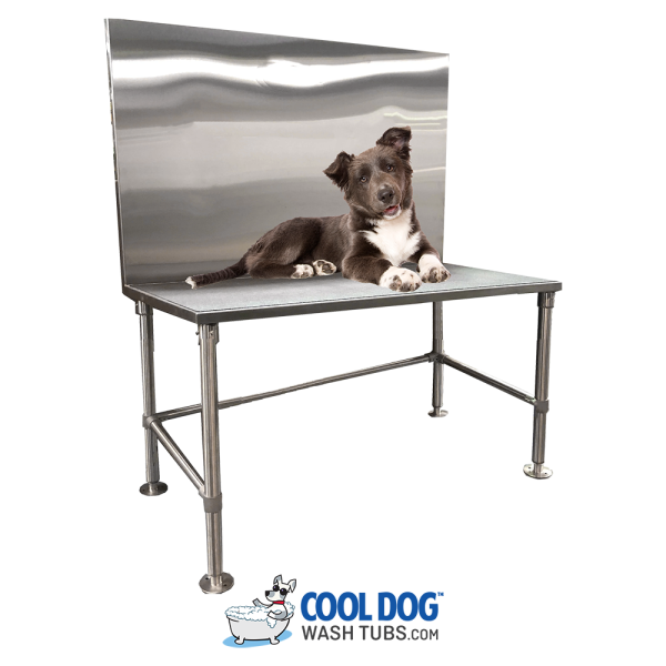 standard series grooming tables with dog