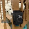 ScrewinWoodThePetWasteStation ScrewinWoodThePetWasteStation