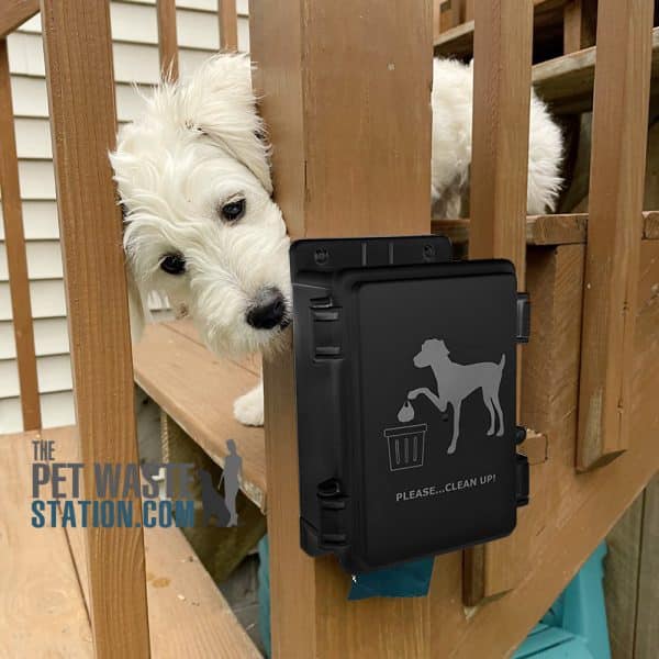 ScrewinWoodThePetWasteStation