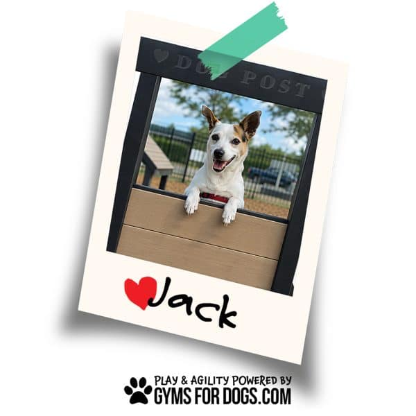 TheDogPost KissingBooth RPW Jack