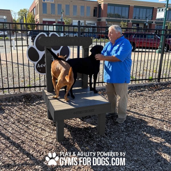 TheDogPost KissingBooth RPW Maggie